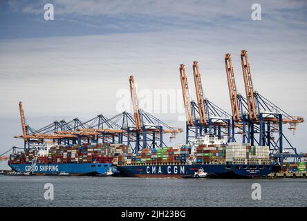 2022-07-14 12:28:47 ROTTERDAM - navi contenitori ad un terminal di container su Maasvlakte 2 come visto dalla Piet Hein, ex imbarcazioni da diporto della Regina Juliana. ANP SEM VAN DER WAL uscita paesi bassi - uscita belgio Foto Stock