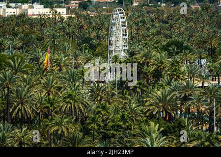 Una vista aerea della ruota panoramica e della bandiera spagnola nel parco circondato da lussureggianti palme Foto Stock