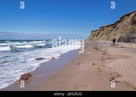 Spiaggia, costa ripida, Heiligenhafen, Schleswig-Holstein, Germania Foto Stock