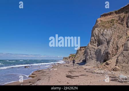 Spiaggia, costa ripida, Heiligenhafen, Schleswig-Holstein, Germania Foto Stock