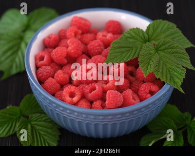 Lamponi freschi e biologici in una ciotola. Tasto basso. Primo piano. Foto Stock