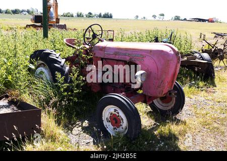 Trattore diesel Porsche rosso non restaurato in un campo con alcune erbacce che crescono intorno ad esso Foto Stock