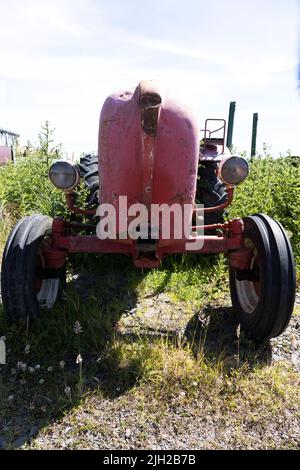 Trattore diesel Porsche rosso non restaurato in un campo con alcune erbacce che crescono intorno ad esso Foto Stock