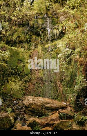 Un colpo verticale della cascata che cade lungo la roccia verde ricoperta di piante a Madeira, Portogallo Foto Stock