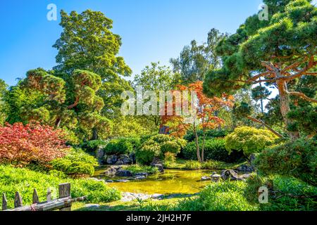 Garden, Bietigheim Bissingen, Baden Wuerttemberg, Germania Foto Stock