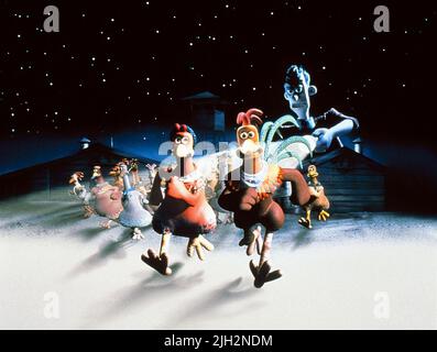 ROCKY,zenzero, il pollaio, 2000 Foto Stock