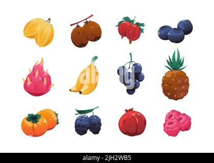 Collezione di frutta cartoon. Ricco di dettagli 2D con dolci spuntini biologici, kiwi uva uva spina ananas melograno lampone. Vettore Illustrazione Vettoriale