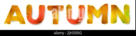 Parola vettoriale d'autunno, fatta di foglie d'autunno, isolata su bianco Illustrazione Vettoriale