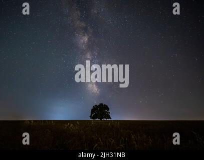 Via lattea e quercia solitaria nel campo Foto Stock