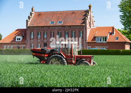 Normandia, Francia, maggio 2022. Spargimento di concimi sul frumento nella fase della rubrica. Edificio in stile fiammingo sullo sfondo Foto Stock