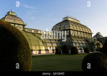 Vienna, Austria - 10 ottobre 2018: Palmenhaus (Palmenhaus) in costruzione presso i giardini del Palazzo Schonbrunn a Vienna, Austria Foto Stock