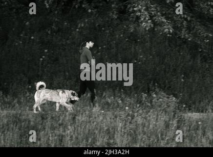 donna cane-proprietario che cammina lungo il parco Foto Stock