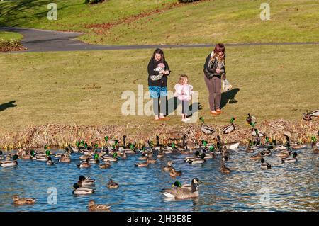 Due donne, un bambino e un bambino vicino al Duck Pond Park dietro la biblioteca pubblica Hillsboro Brookwood a Hillsboro, Oregon. Entrambe le donne sono telefoni in attesa Foto Stock