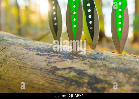 Gettando coltelli in un log in un soleggiato Forest.Sport e hobby concept. Coltelli in metallo per gettare in un uomo mani su una foresta di abete background.Outdoor Foto Stock