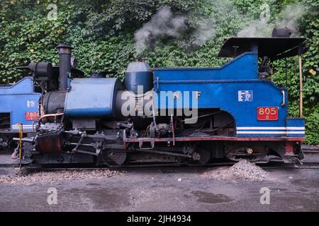 DARJEELING, INDIA - 22 GIUGNO 2022, primo piano dettaglio del treno giocattolo del motore a vapore di Darjeeling Himalayan ferrovia alla stazione, Darjeeling Himalayan ferrovia Foto Stock