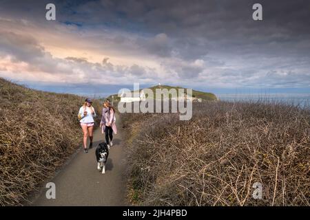 Camminatori di cani e un cane che si gode una passeggiata sul sentiero costiera intorno a Newquay in Cornovaglia nel Regno Unito. Foto Stock