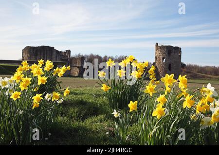 Flint Castle, Flintshire, Galles del Nord Foto Stock