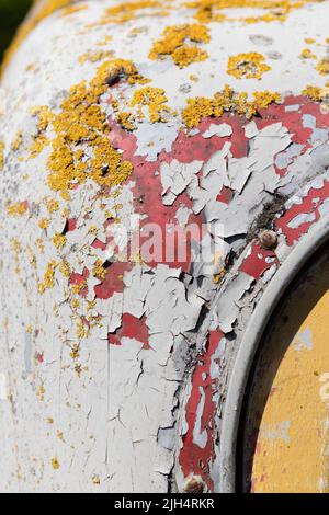 Vernice per peeling grigio, rosso e giallo con lichene giallo su una vecchia cabina in metallo Foto Stock
