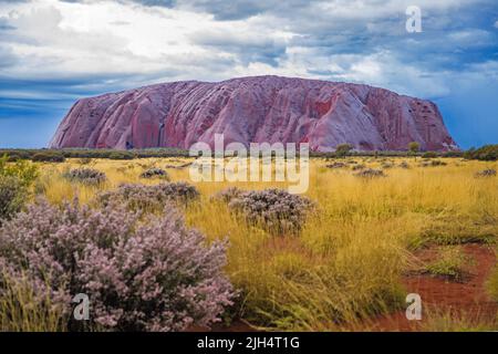 Ayers Rock, Uluru, Australia, Uluru-Kata Tjuta National Park Foto Stock