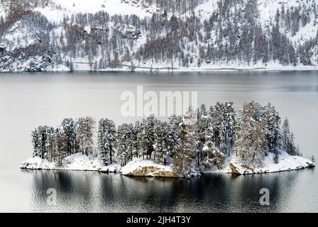 Paesaggio invernale di montagna e piccola isola nel lago Sils, Svizzera, Grigioni, Engadina, Sils-Maria Foto Stock