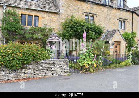 Hollyhocks in fiore nel giardino di una casa nel villaggio di Gloucestershire di macellazione inferiore Foto Stock