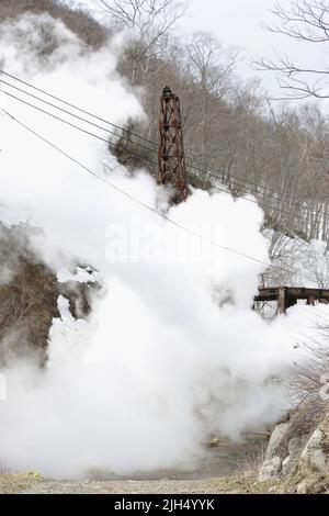 Nuvole di vapore che si innalzano da una pompa di acqua di sorgente calda Foto Stock