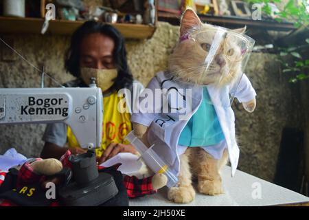 Un gatto posa indossare abiti di gatto a Bogor, West Java, Indonesia, dicembre 8,2020. Foto Stock