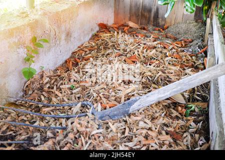 Compostaggio di erba tagliata e foglie cadute per arricchire il suolo. Pacciame di foglie. Fertilizzante organico Foto Stock