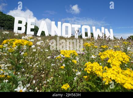 Il segno gigante eretto a Dundee Law rinominando la città di Dundee a Beanotown per celebrare l'inizio del Dundee Bash Street Festival, che celebra il patrimonio dei fumetti della città. I designer hanno tratto ispirazione dal famoso cartello di Hollywood, il cartello è alto sei metri per 38 metri e sarà visibile da tutta la città e attraverso il Tay per tutta la durata del festival. Data foto: Venerdì 15 luglio 2022. Foto Stock