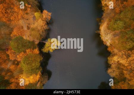 Alberi d'autunno sulla riva del fiume. Vista aerea del drone. Foto Stock
