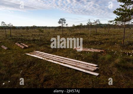 Tavole di legno su una palude, il materiale da costruzione per le tavole di anatra a Linnaistensuo, Lahti, Finlandia Foto Stock