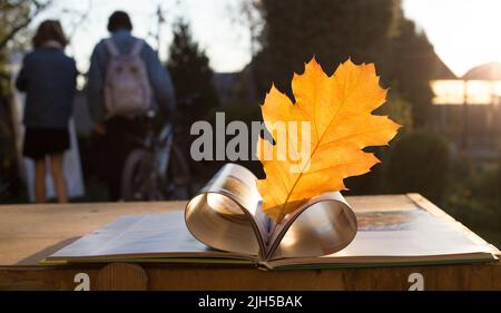 Concetto di istruzione. Salve, autunno. In primo piano è un libro aperto con una foglia di quercia arancione tra le pagine aperte a forma di cuore. Torna a scuola. Coppia di Foto Stock