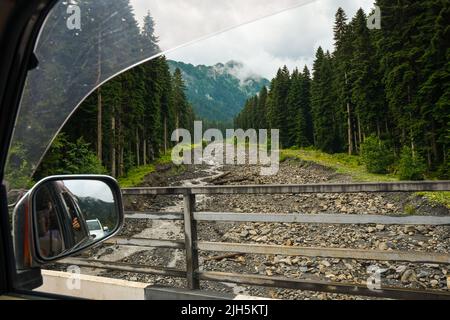 Finestra anteriore vista boschi in natura su strada viaggio in auto a noleggio relax sedile posteriore prendere foto passeggero. Vacanza stile di vita vibes esterno moody m Foto Stock