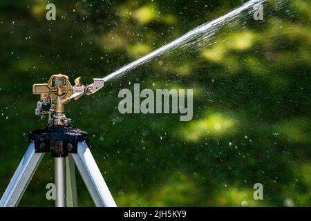 Una testa irrigatrice a impatto in ottone per impieghi pesanti innaffia il prato, profondità di campo poco profonda con goccioline d'acqua Foto Stock