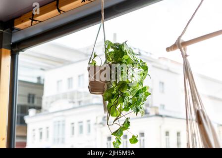 appeso in vaso pianta in macrama sulla terrazza contro strada edifici bianchi Foto Stock