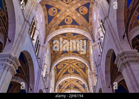 Duomo San Martino. Cattedrale di San Martino. Soffitto della navata. Lucca, Provincia di Lucca, Toscana, Italia. La cattedrale della città risale al 9th cen Foto Stock