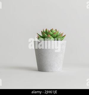 3d illustrazione di houseplant isolato su sfondo bianco Foto Stock