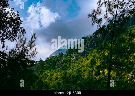 Vista sul Canyon tra gli alberi. Scogliere coperte di foresta. Canyon Goynuk ad Antalya Foto Stock