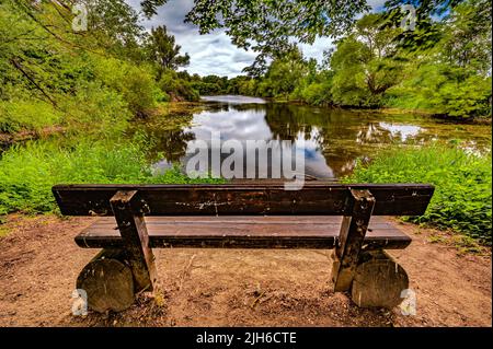 Panca di legno sulla riva di un laghetto con piante acquatiche e alberi decidui sul bordo, Laatzen, bassa Sassonia, Germania Foto Stock