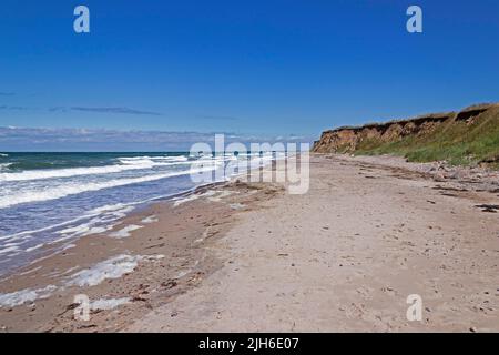 Spiaggia, costa ripida, Heiligenhafen, Schleswig-Holstein, Germania Foto Stock