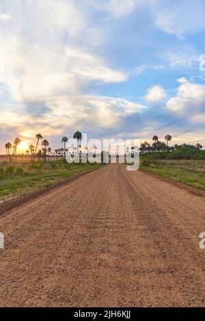 Tramonto nel Parco Nazionale di El Palmar, in Entre Rios, Argentina, un'area naturale protetta dove si trova l'endemica palma di Butia yatay. Una strada sterrata a. Foto Stock