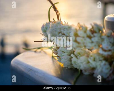 Una corona di fiori in primo piano sullo sfondo del sole che tramonta. Bella stagcape. Fiori abbandonati. Pianta Foto Stock