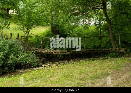 Una piccola passerella in legno su un ruscello nella foresta in una giornata estiva soleggiata. Il ponte è vecchio e cresciuto di muschio. Concetto di background naturale Foto Stock