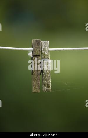 Copia spazio di vecchi abiti appesi su linea abbandonata di lavaggio o lavanderia con bokeh all'esterno. Closeup di spiderweb, muschio o alghe da clima umido Foto Stock