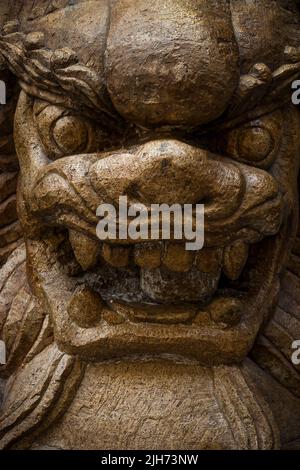 Il leone in pietra intagliato custodisce un ingresso all'edificio, Sheung WAN, Hong Kong Island Foto Stock