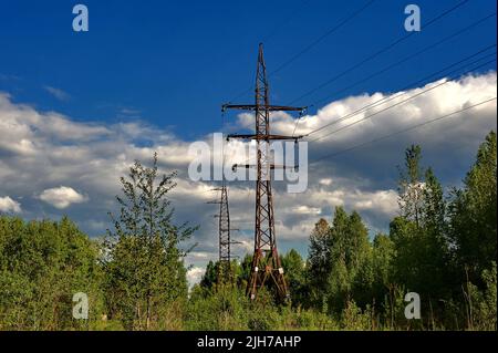 una linea elettrica ad alta tensione attraversa la foresta contro il cielo blu Foto Stock