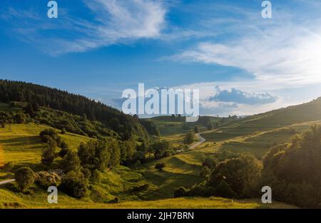 Una strada intermontana lastricata di un'automobile passa e si snoda tra basse colline ricoperte di boschi di abete rosso e prato erboso, sullo sfondo Foto Stock