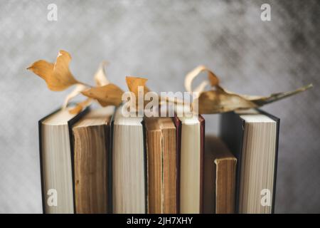 Foto d'epoca di una foglia su un mucchio di libri Foto Stock