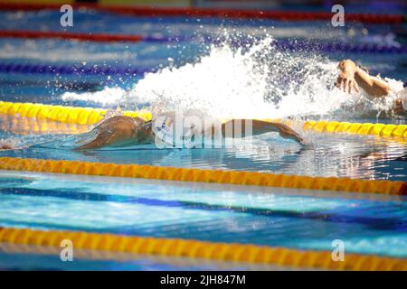 Otopeni, Romania - 8 luglio 2022: Dettagli con il nuotatore rumeno David Popovici che gareggia ai campionati europei Junior LEN. Foto Stock