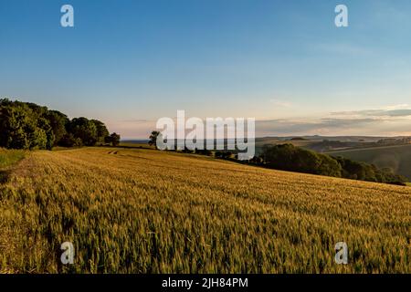 Una vista sulle South Downs da vicino a Ditchling Beacon in Sussex Foto Stock